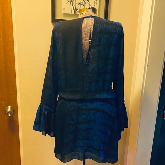 Parker silk dress - Picture 2 of 6